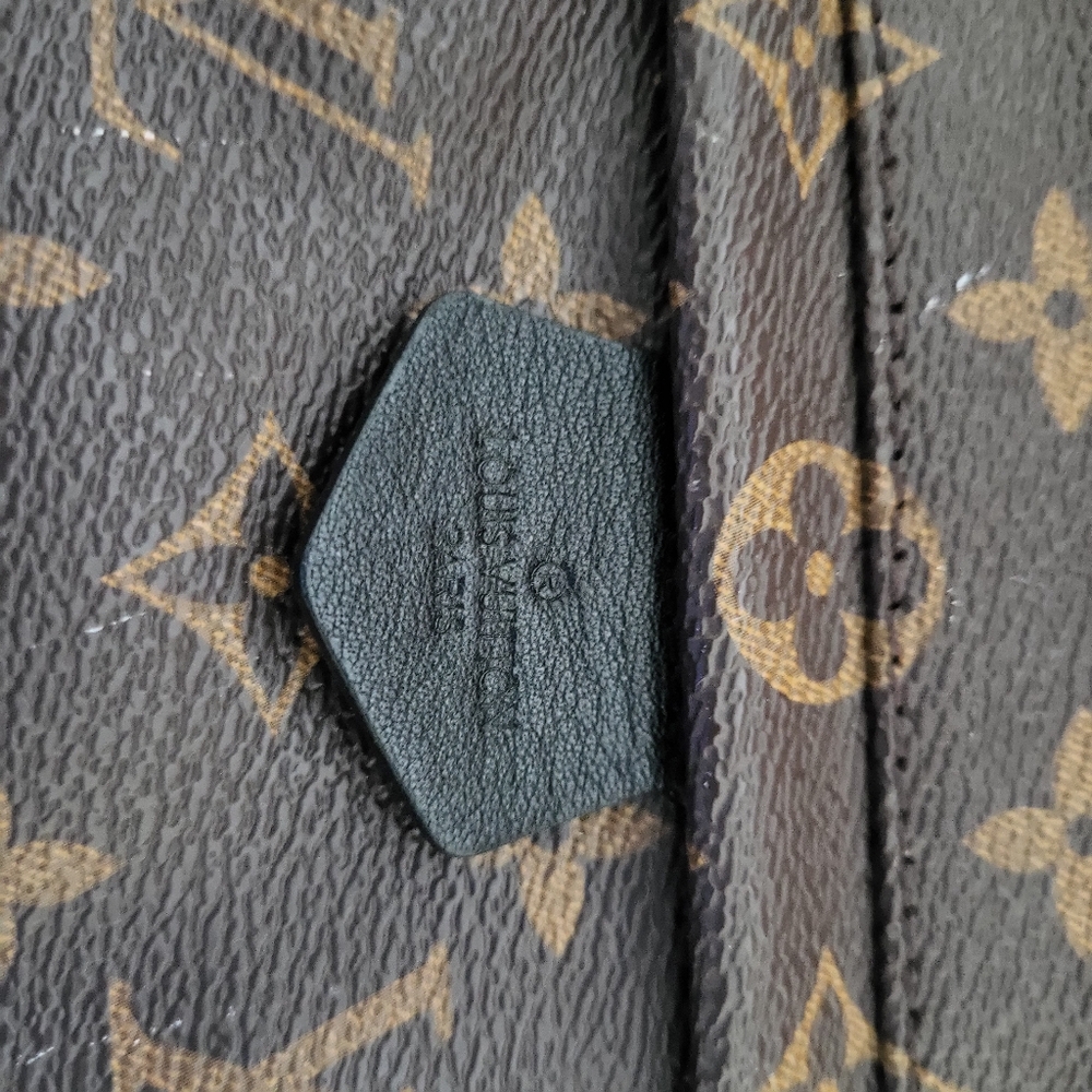 Louis Vuitton Palm SPRINGS Mini Brown Monogram Backpack - Picture 2 of 15